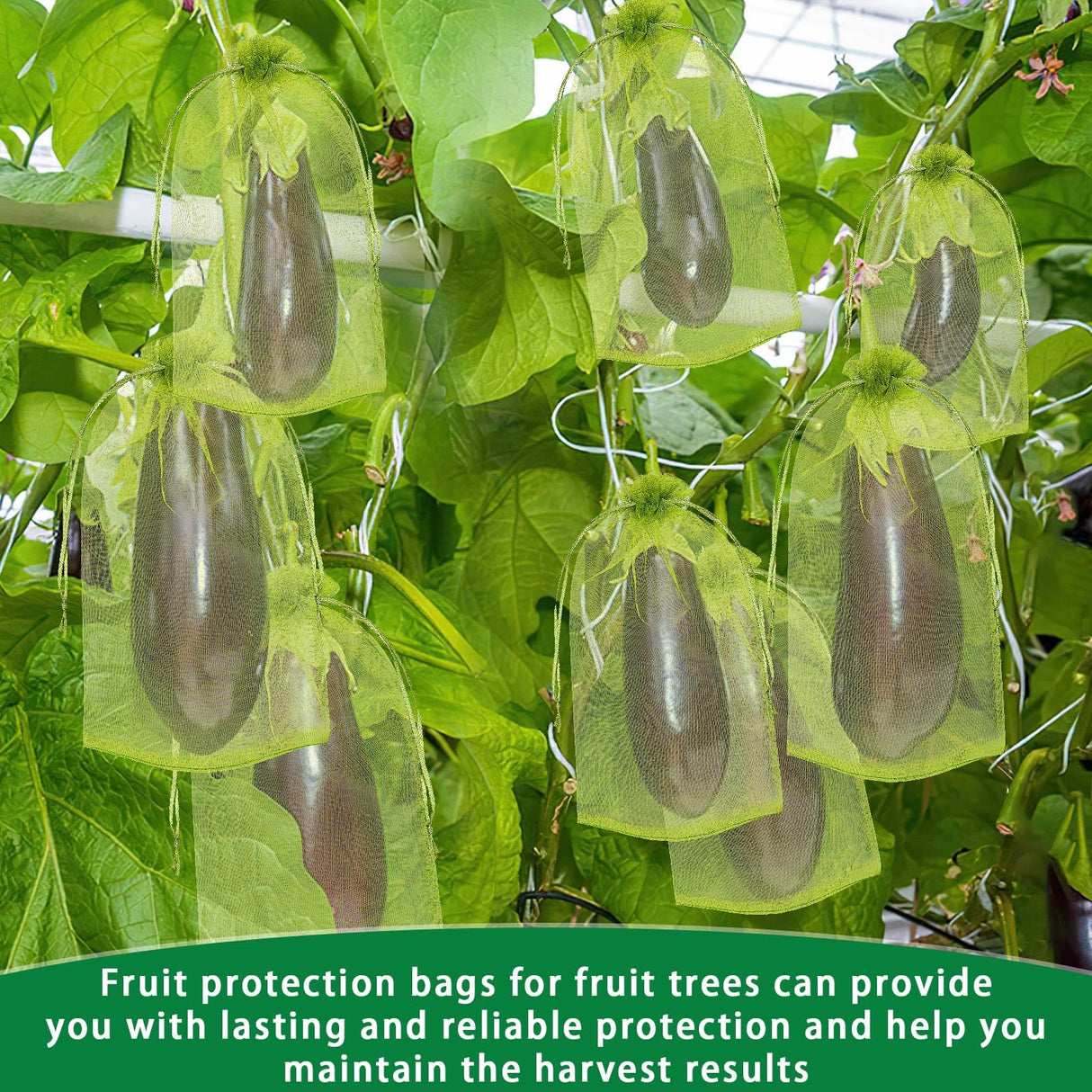DECYOOL 120 Pcs Green Fruit Protection Bags 6x12 Drawstring Cover Bags