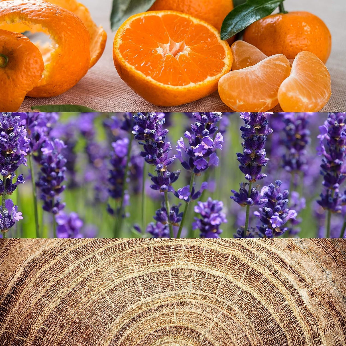 Calvin Klein OBSESSION for Men After Shave Balm, 5 Fl Oz