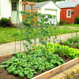 UrGROWA Cucumber Trellis 2 Pack,Foldable A-Frame Garden Trellis