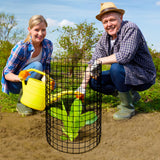 Adnee 10 Packs Wire Plant Protector from Animals - 20" H X 12" D Metal Mesh Plant Cage Covers - Sturdy Garden Bunny Barricades Chicken Wire Cloche for Plants Shrubs Vegetables Flowers