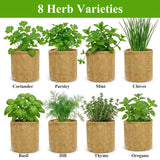 Indoor Herb Garden Kit, Culinary Herb Starter Kit with Seeds & Tools for Beginners, Kitchen Decor, House Warming Gifts for New Home, for Christmas, Ultimate Birthday Gifts for Women Men Mom Dad