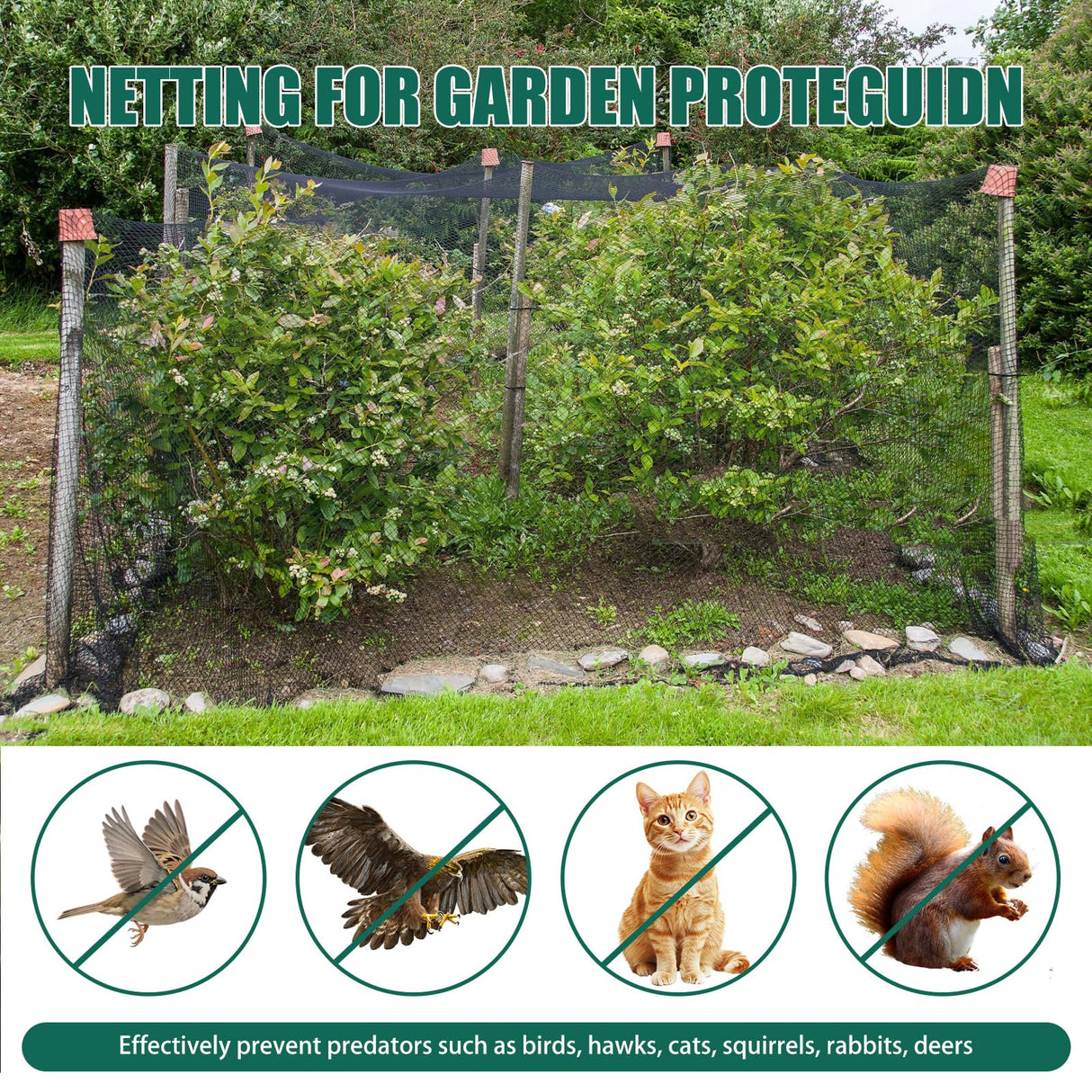 Vandham 25x50ft Heavy Duty Bird Netting, 1.6" Mesh for Garden Fruit Trees