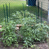 Garden Stakes, 48 Inch 4Ft Steel Tomato Plant Stakes, 20 Pack
