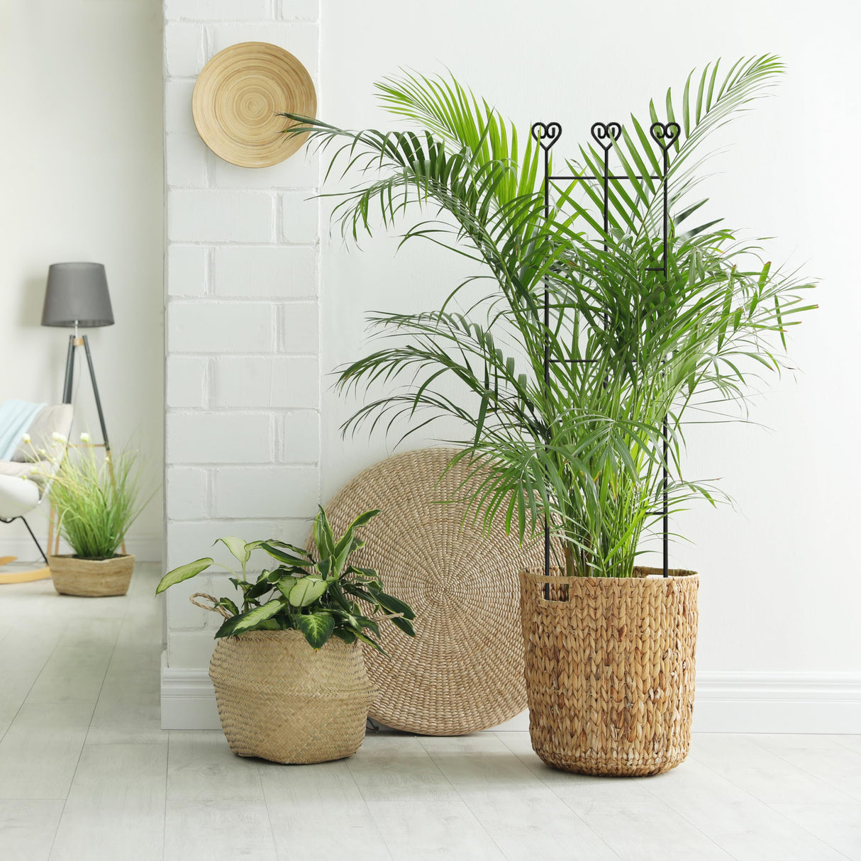 Coomin 32in Monstera Plant Support Trellis for Indoor Plants, 2P
