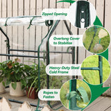 Gardzen Mini Greenhouse with Waterproof Base, Indoor/Outdoor Tabletop Greenhouse for Seed Starting, Plant Protection, Gardening & Winter Shelter, 36.2"(L) x18.9(W) x33.3(H)