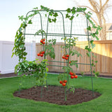 HIRALIY Cucumber Trellis for Climbing Plants, 5.25ft Tall, Green
