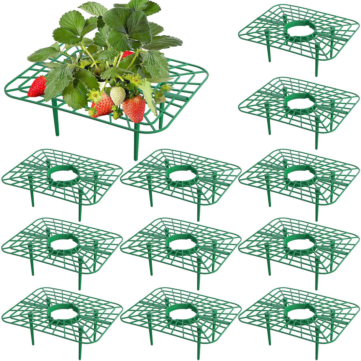 Iceyyyy 12 Packs Square Strawberry Supports-Strawberry Growing Racks- Plant Support Strawberry Stand Holder Growing Frame Keep Berries Clean