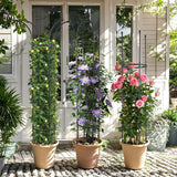 WellSign 6.6ft Tall Garden Obelisk Trellis for Climbing Plants Outdoor