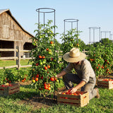 60 Inch Round Tomato Cages for Garden - 2 Pack Heavy Duty Metal Tomato Trellis Plant Support, Adjustable Height & Stackable, Easy Assembly for Outdoor Climbing Plants