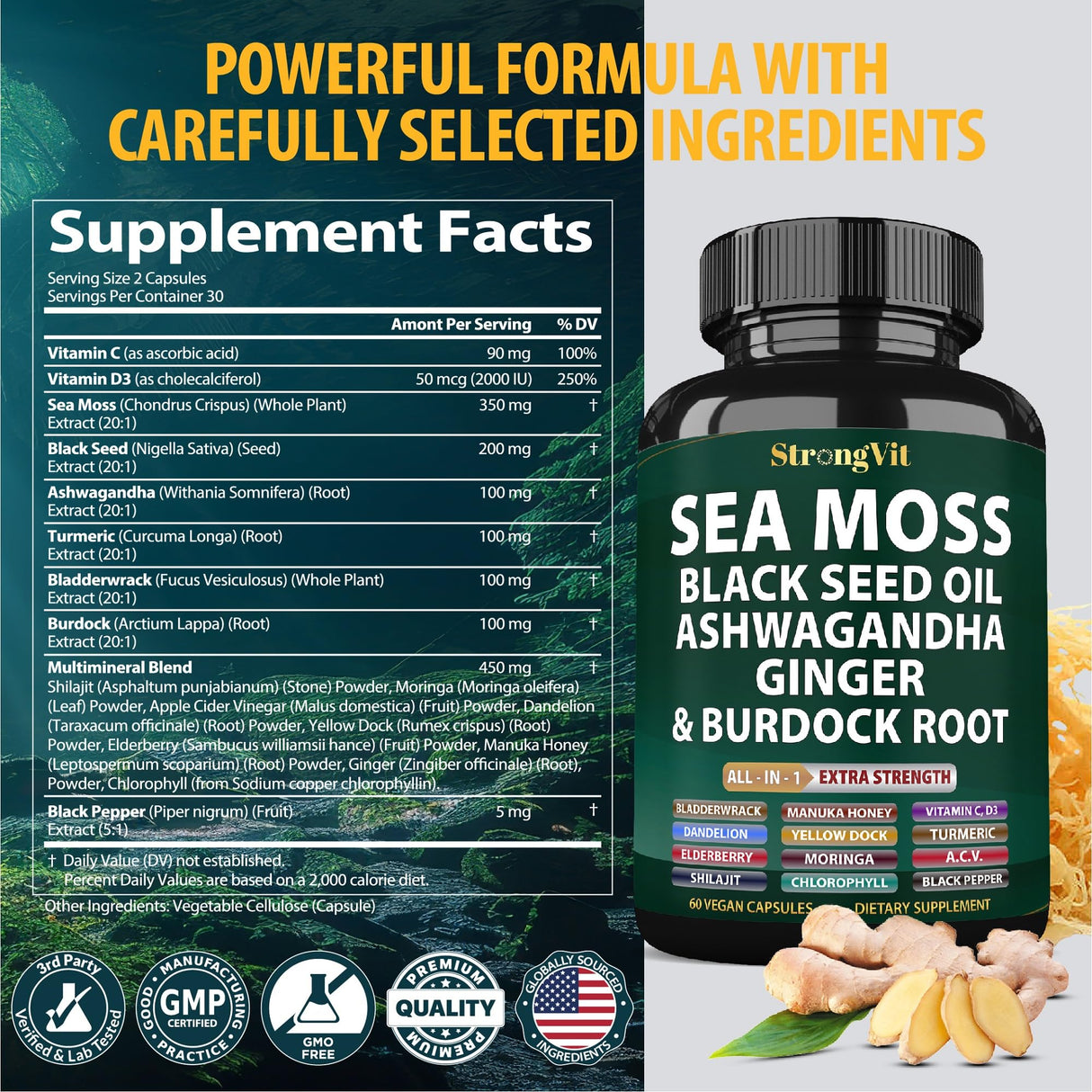 Sea Moss Black Seed Oil Ashwagandha Ginger, Organic Sea Moss Capsules with Burdock Root, Irish Seamoss Pills with Bladderwrack, Turmeric, Shilajit, Multimineral Supplement, USA (60 Capsules)