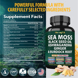 Sea Moss Black Seed Oil Ashwagandha Ginger, Organic Sea Moss Capsules with Burdock Root, Irish Seamoss Pills with Bladderwrack, Turmeric, Shilajit, Multimineral Supplement, USA (60 Capsules)
