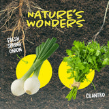 Root Viewer Kit for Kids - Grow Your Own Plant for Boys & Girls Gifts