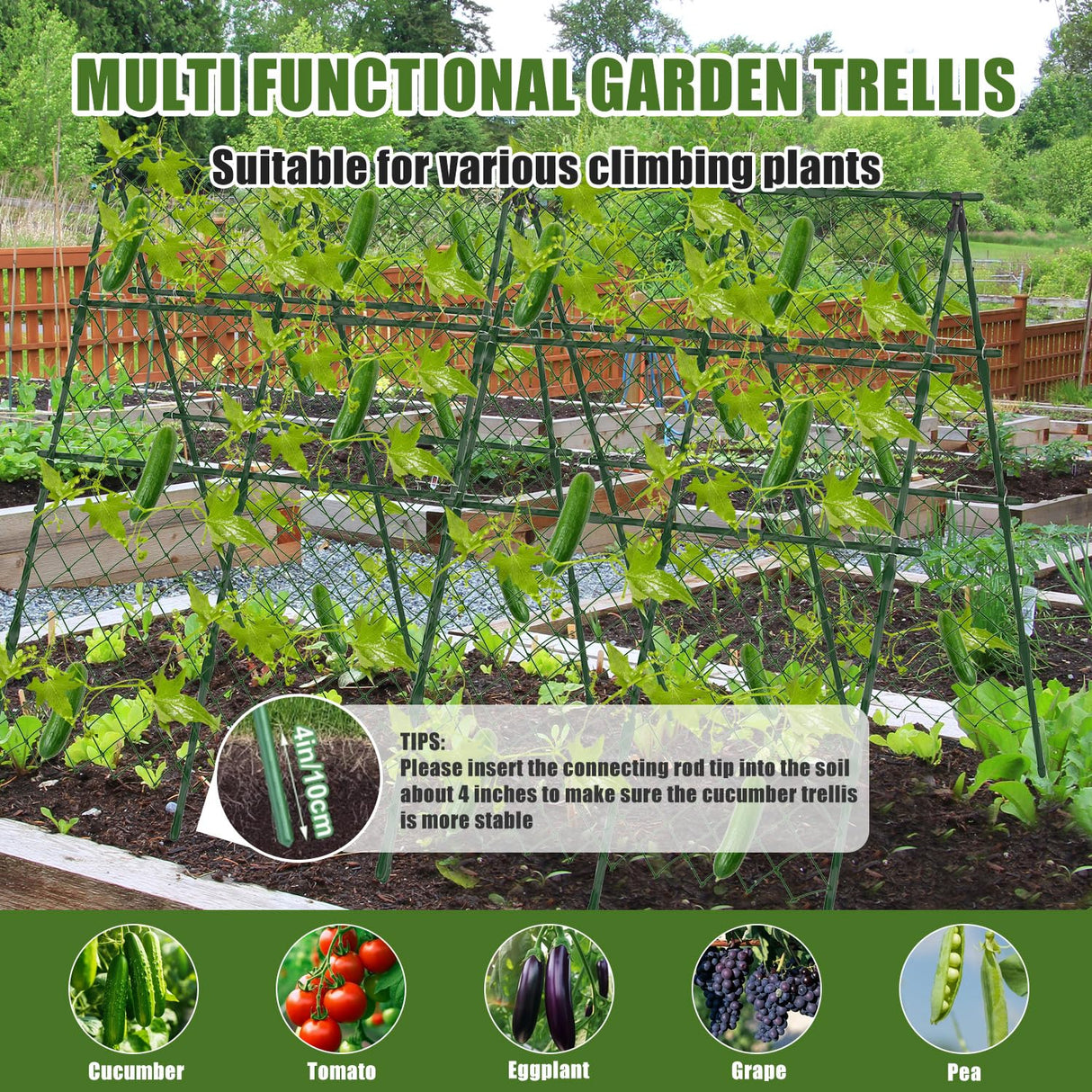 STFALI 63"H x 47"L Cucumber Trellis for Raised Bed, Adjustable Garden Trellis for Climbing Plants Outdoor with Climbing Net and Plant Support Clip, A-Frame Trellis for Vegetable, Cucumbers, Tomatoes
