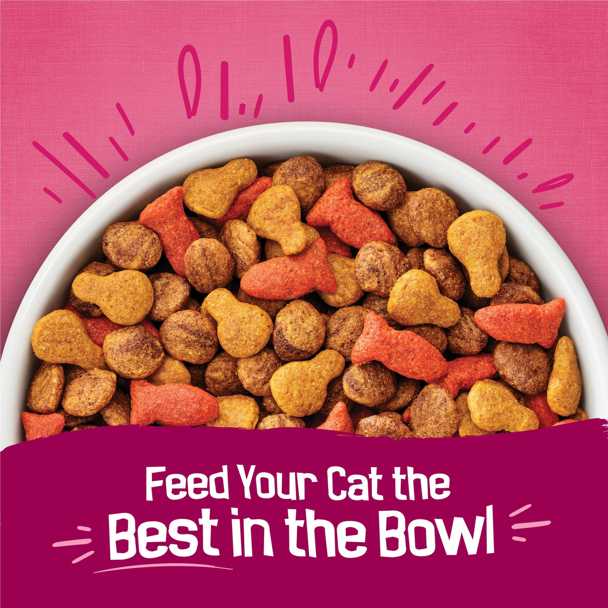 Friskies Purina Gravy Swirlers Dry Cat Food, Chicken & Salmon, 22 lb Bag