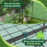 OLIXIS Outdoor Greenhouse, Walk-in Greenhouse with 2 Tier 8 Plant Shelves, Durable PVC Cover, 56"x56"x77" Portable Greenhouses for Outdoor Garden, Patio, Porch, Backyard Green Houses, Green