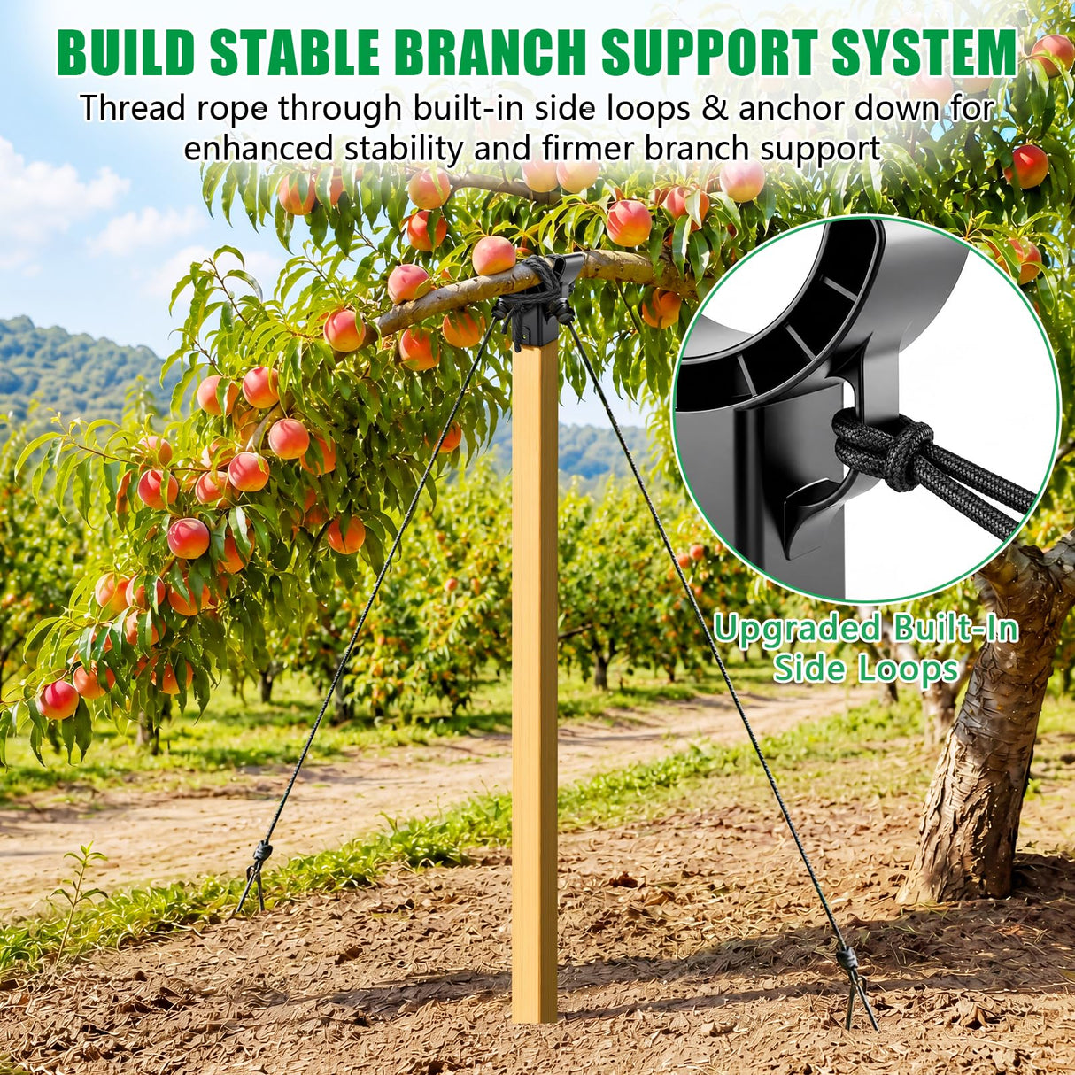 KJX 4 Pack Upgraded Tree Crutches, Fruit Tree Branch Supports