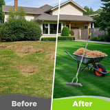 WORKPRO Thatch Rake, 15-Inch Thatching Rake for Lawns with 5FT Handle