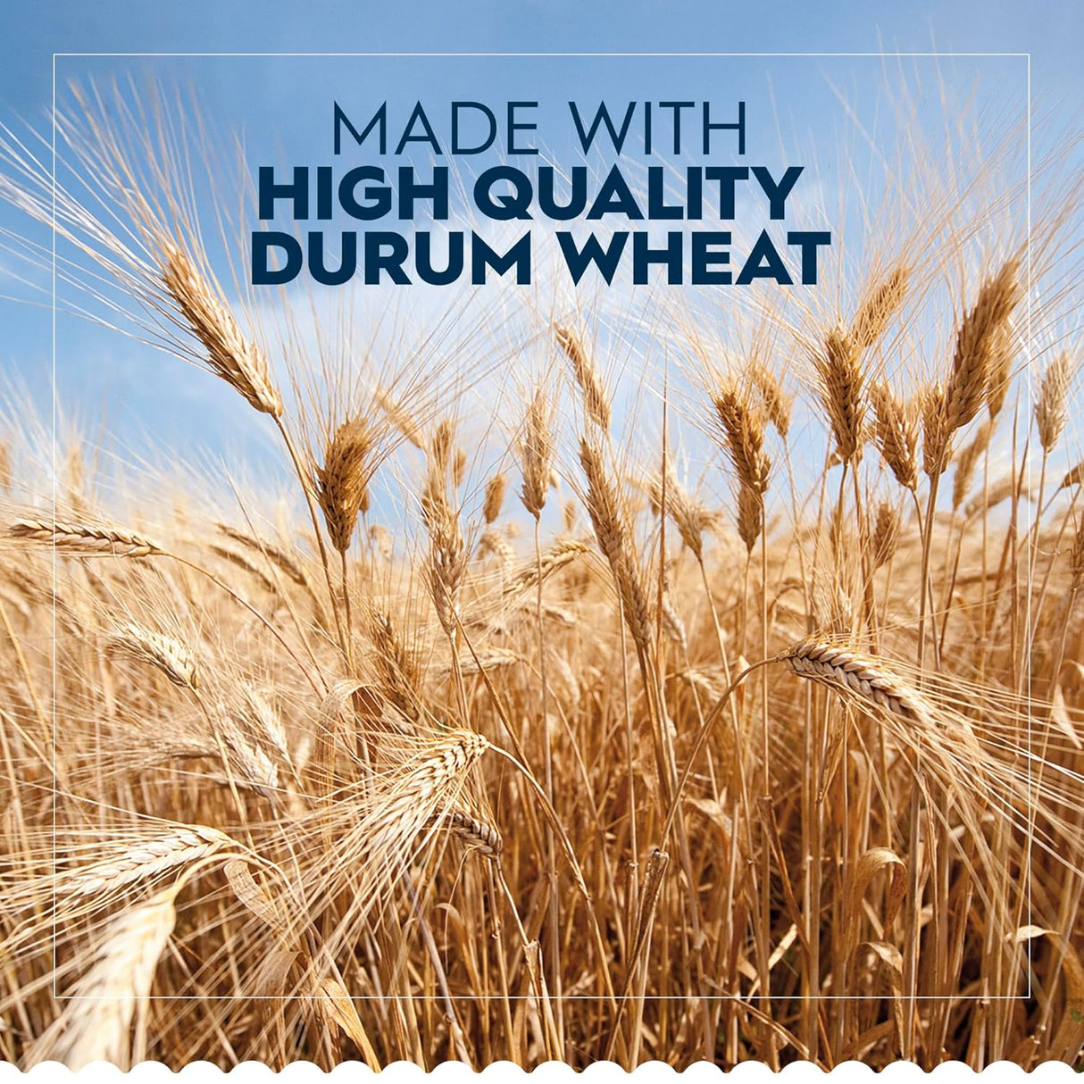 Barilla Oven-Ready Lasagne Pasta, 9 oz. Box (Pack of 12) - Made with Durum Wheat Semolina - Kosher Certified