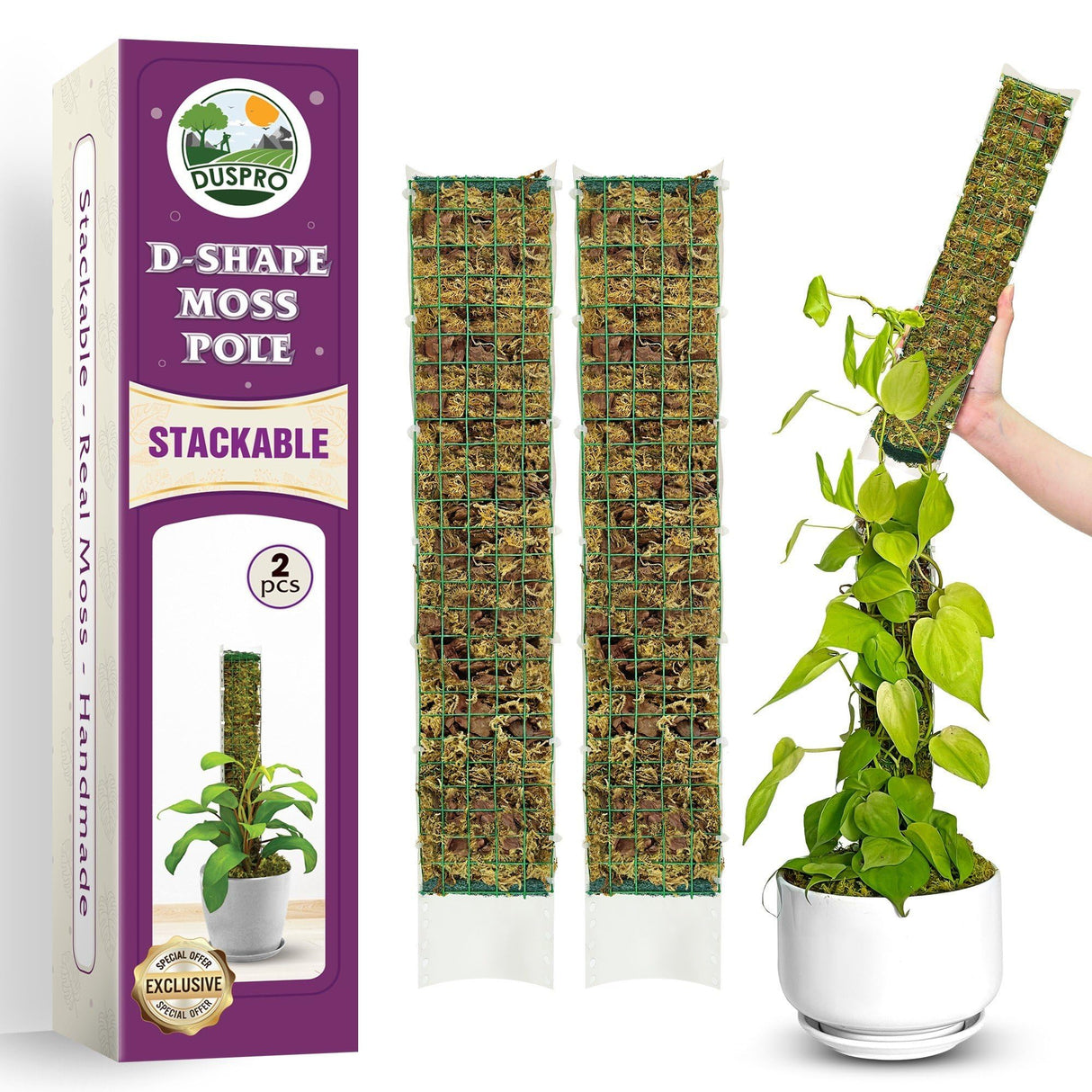 DUSPRO 2 Pack 16.5" D-Shaped Plastic Stackable Moss Poles