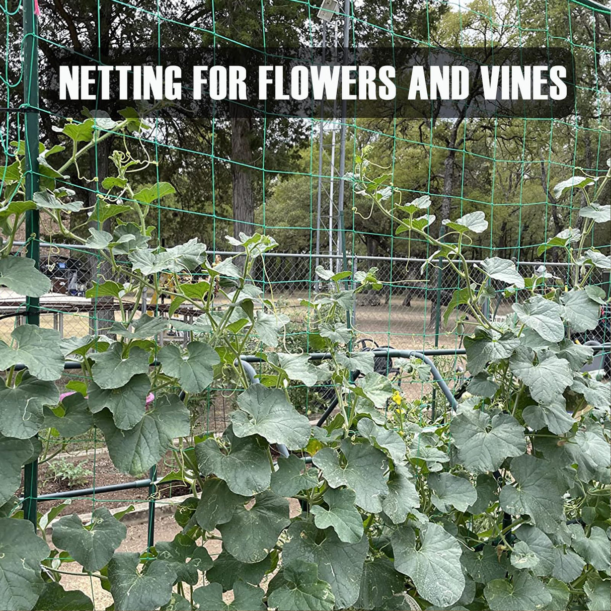 HOECMRHP Trellis Netting, Heavy-Duty Garden Grow Netting for Climbing Plants, Outdoor Indoor Net for Cucumber, Tomatoes, Beans, Clematis, Fruits & Vegetables, Climbing Vining Plants (24.6' x 6.6'Ft)