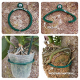 OrchidHug Universal Orchid Mounting Ring – Open Adjustable Design Fits All Orchid Sizes | Mount Orchids on Trees or Walls | Flexible Green Coated Steel with Stainless Screws | Easy Install | 4 Pack
