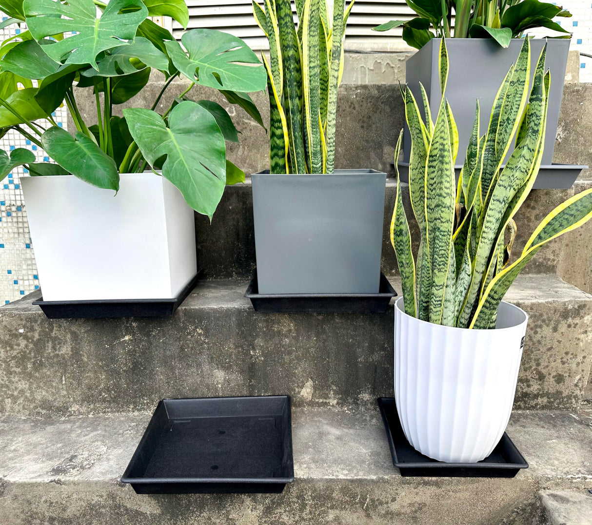 NIMYAU Square Plant Saucer 14 Inch 2 Pack 8 12 14 16 18 20 Plant Trays for Pots Heavy Duty Plastic Plant Saucers for Indoors Outdoors, Flower Pot Plant Drip, Extra Lager No Holes Plant Tray
