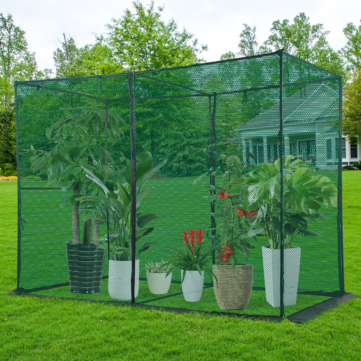 Toriexon Crop Cage Plant Protection Tent 6.5 x 10 x 6.5 Ft