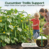48x48 Cucumber Trellis for Raised Bed - U Shape Vegetable Garden Trellis for Climbing Plants Outdoor - Support for Cucumbers, Pea, Zucchini, Squash,Tomato, Green Bean, Vine, Watermelon, Melon, Pumpkin