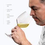 Paksh Novelty Italian White Wine Glasses - - Wine Glass Set for Parties, Weddings, Gifting - Clear Wine Glass, for Red and White Wine - Christmas Gift for Women & Men