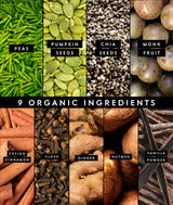 Truvani Vegan Pea Protein Powder | Pumpkin Spice | 20g Organic Plant Based Protein | 10 Servings | Keto | Gluten & Dairy Free | Low Carb | No Added Sugar