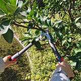 YRTSH Lopper Heavy Duty Branch Cutter Tree Clippers with Compound Action, Chops Thick Branch Ease, Garden Loppers Pruning, 18 Inch Tree Trimmer with 1.6” Clean Cut Capacity (18 Inch)