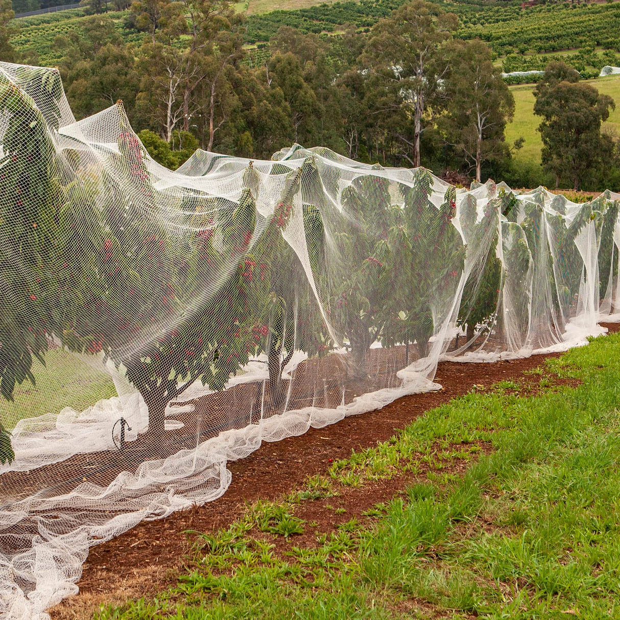 Hoolerry 20 x 25 ft Mosquito Netting Garden Netting for Raised Beds Ultra Fine Insect Net Large White Bird Mesh Barrier Greenhouse Row Cover Bug, Protect Vegetable Fruits Flowers Tree