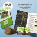 Root Viewer Kit for Kids - Grow Your Own Plant for Boys & Girls Gifts