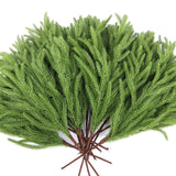 Rowfad 12 Pcs Artificial Norfolk Pine Branches, Norfolk Pine Artificial Pine Stems DIY Crafts Faux Christmas Greenary Norfolk Pine Branches for Xmas Wreath Garland Home Decor (12)