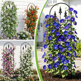 LATIHUUM 2 Pack 57.8" H x13 W Garden Trellis for Climbing Plants Outdoor, Rustproof Arched Metal Rose Trellis for Outdoor Indoor Roses Clematis Potted Climbing Plants Vines Flowers Decorative, Black