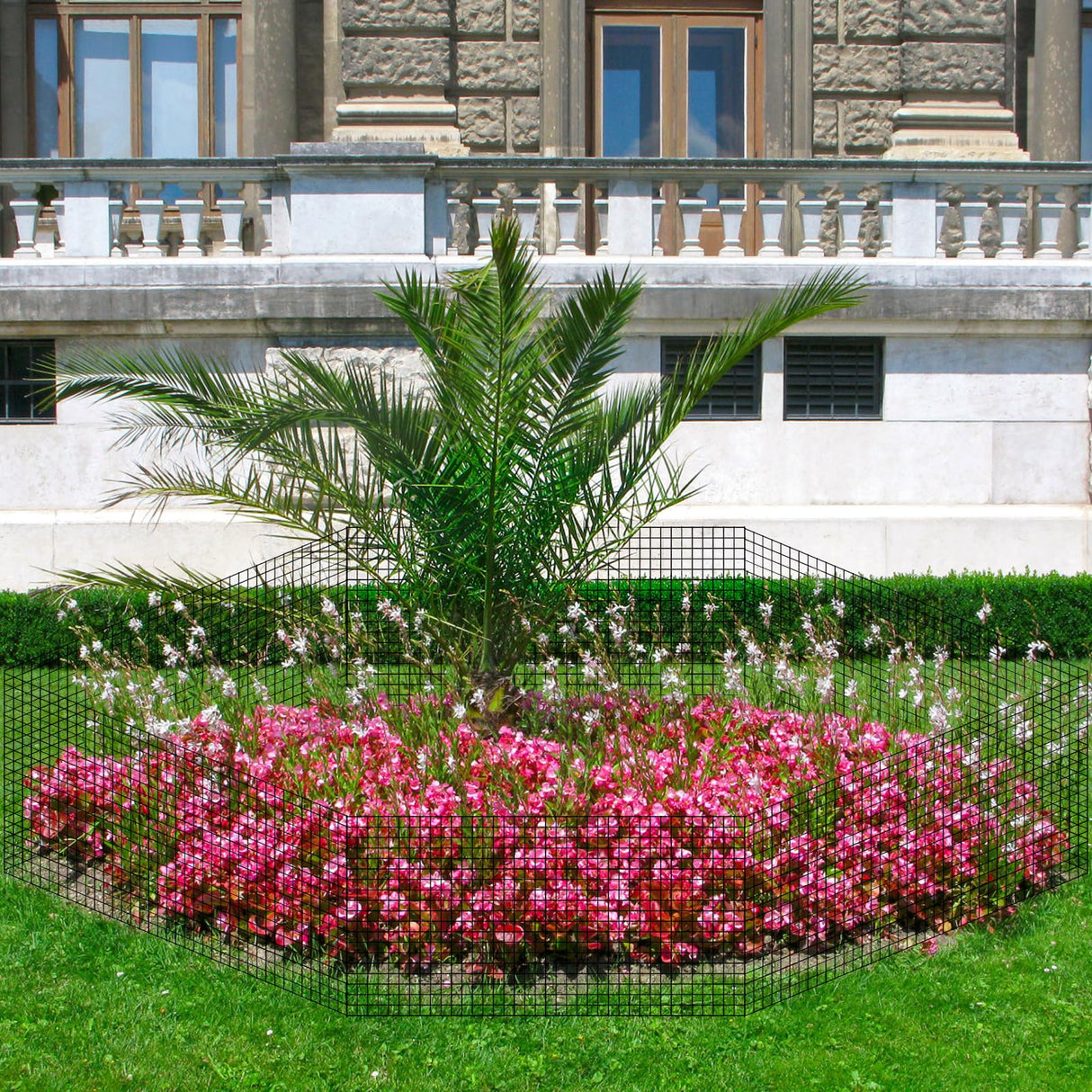 Sibosen 18 Pcs 24'' x 12'' Large Wire Plant Protector from Animals 6 Pack Metal Plant Cage Chicken Wire Cloche with Nylon Tie and Ground Stakes Keep Animals Out Garden Protection Bunny Barricade