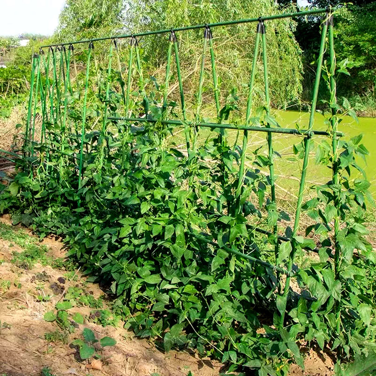 Adjustable Plant Trellis Connectors, Plastic Garden Stakes Clips for 0.78 inch Diameter Poles Connecting Joints for Tomato Cage Cucumber Teepee Climbing Plants Frame