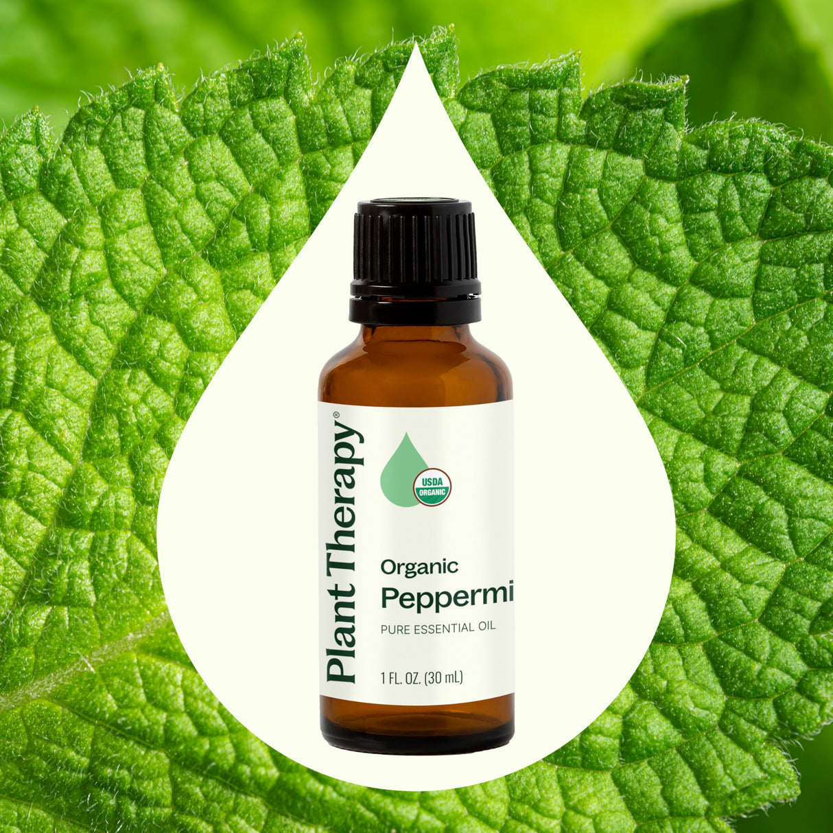 Plant Therapy Organic Peppermint Essential Oil 100% Pure, USDA Certified Organic, Undiluted, Natural Aromatherapy, for Diffusion, Skin, Hair, Therapeutic Grade 30 mL (1 oz)