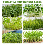 Amarys Hearth 2 Pack Stainless Steel Seed Sprouter Trays, 2-Tier Soil-Free Microgreens Growing Kit, Rust-Free Sprouting Tray with Mesh Pads for Sprouts Beans Alfalfa Wheatgrass (10.6" * 7.9" * 1.9")