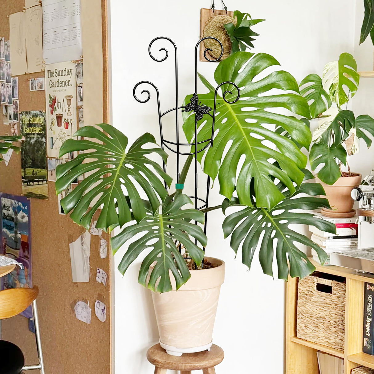 Coomin 32.6in Monstera Plant Support Trellis with One Butterfly, 2P