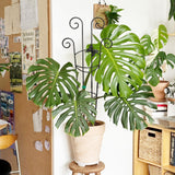Coomin 32.6in Monstera Plant Support Trellis with One Butterfly, 2P