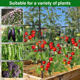 Toriexon Garden Arch Trellis for Climbing Plants
