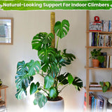 DUSPRO 59" Natural Large Moss Pole for Big & Mature Plants, (1pc., 59'')