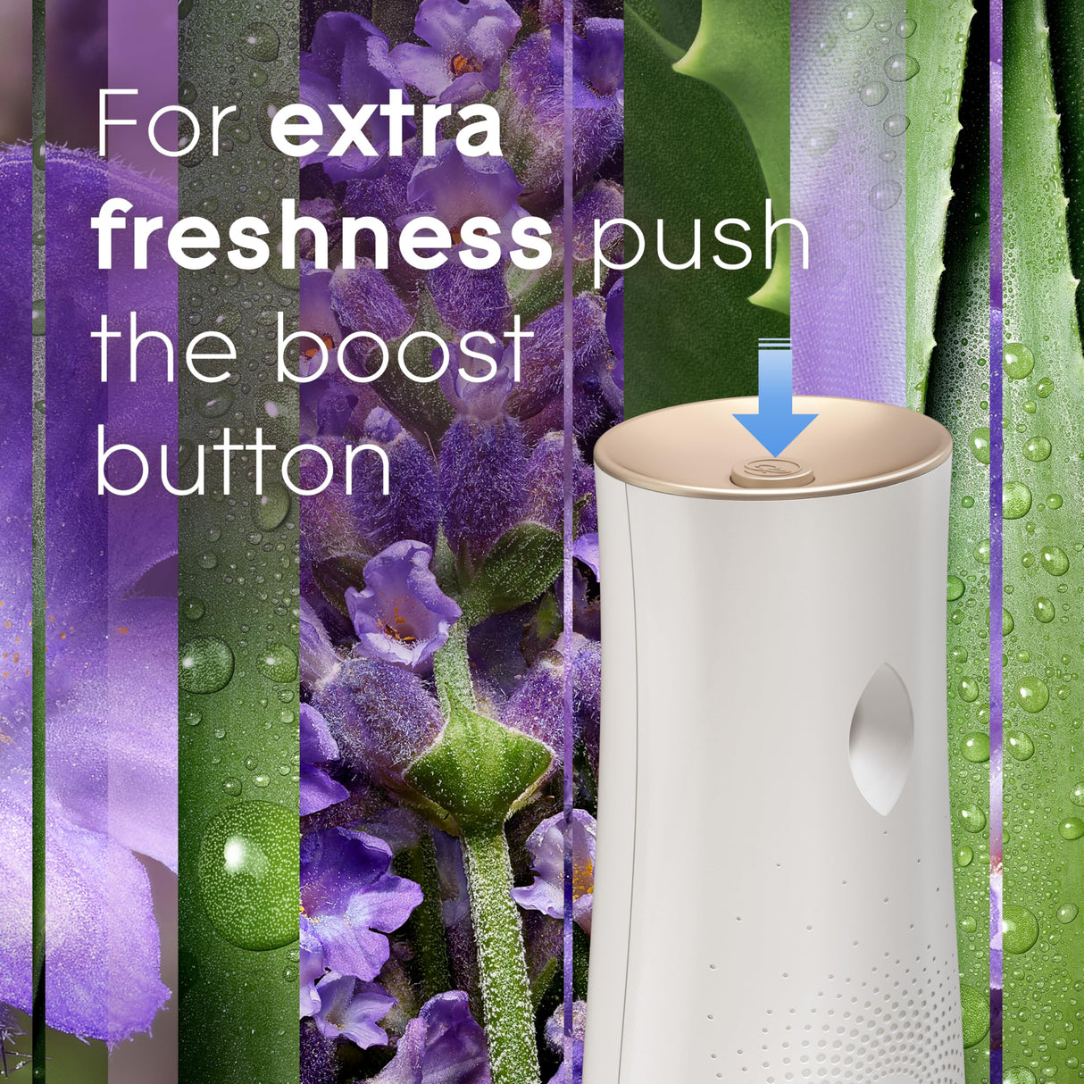 Glade Automatic Spray Refill, Air Freshener for Home and Bathroom, Tranquil Lavender & Aloe, 6.2 Oz, 3 Count