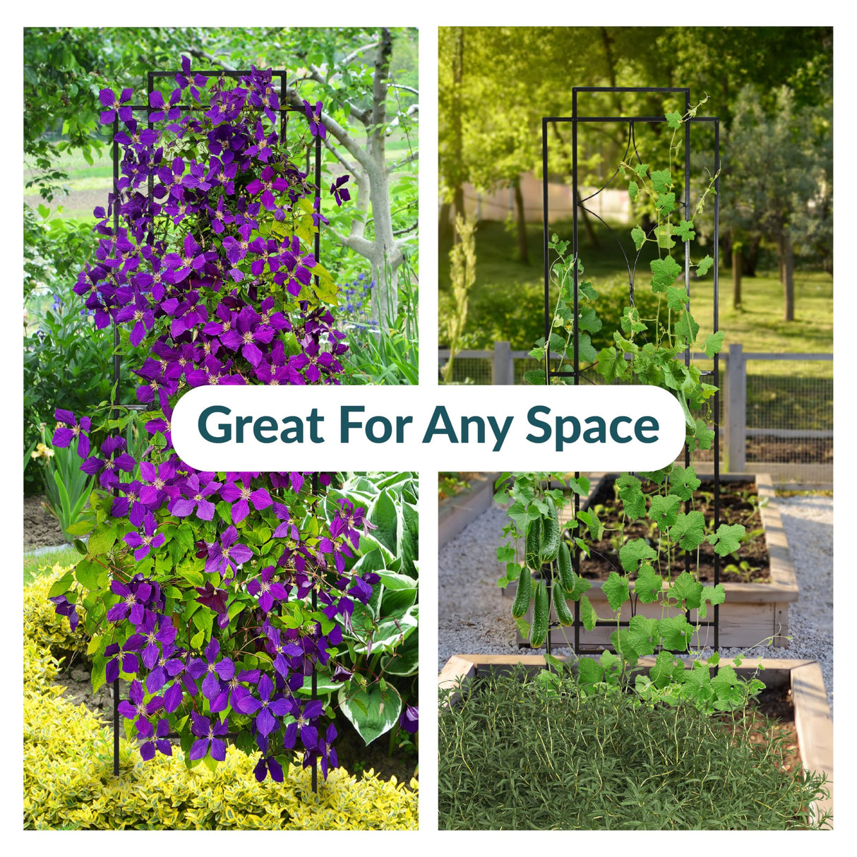 Sunnydaze 60" Black Metal Garden Trellis for Climbing Plants, 2-Pack
