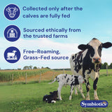 Symbiotics Colostrum 120ct Chewables Plus - Immunity Support for Adult & Kids - Lactoferrin Supplement & Colostrum Protein - Supports Digestion & Gut - 25% lgG Antibodies, Gluten Free - Orange Creme