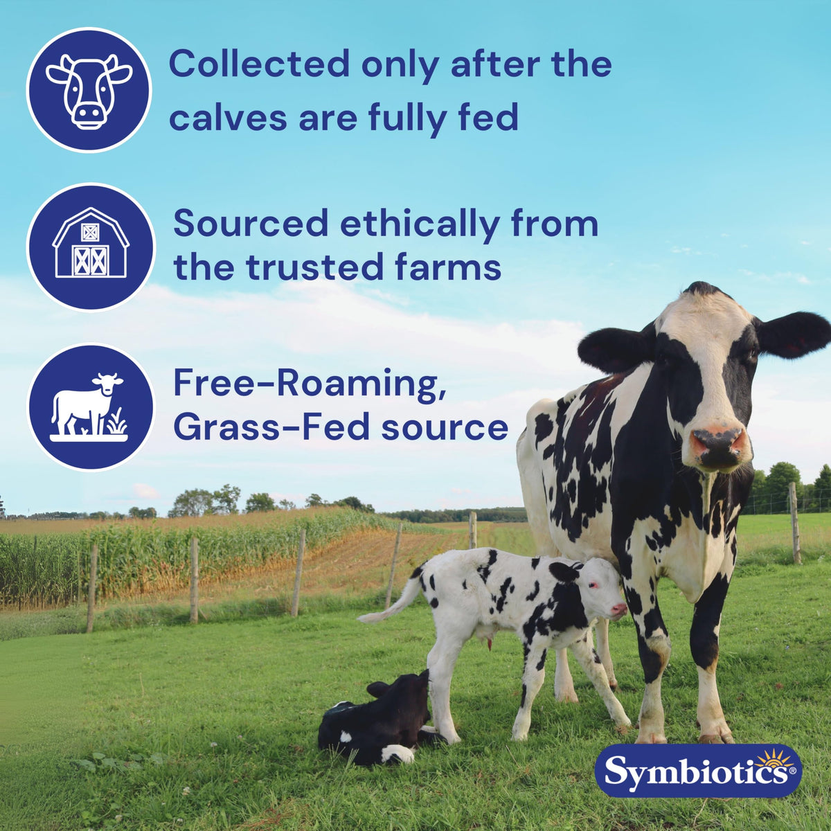 Symbiotic Plus Symbiotics Colostrum Plus Powder 21 oz (597 g) - Immunity Support - Pr ...