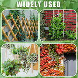 WILLBOND 350 Feet Plants Trellis Training Wire 2 Rolls Trellis Wire for Climbing Plants for Garden Fence