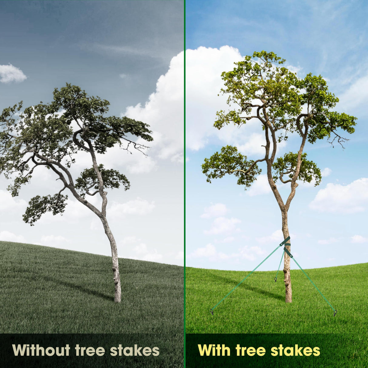 VASGOR Heavy Duty 18” Tree Stakes and Supports for Young Trees, Set of 6 Tree Stake Kit with 6 Straps for Staking and 78 Feet Rope, Can be Used with Drill (Adapter Included) (Set 6)
