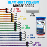 GOEASY0312 Premium Bungee Cords Heavy Duty - 20 pcs Bungee Cords with Hooks in A Storage Jar Includes 10", 18", 24", 30", 36", 48" Bungie Cord Bundle